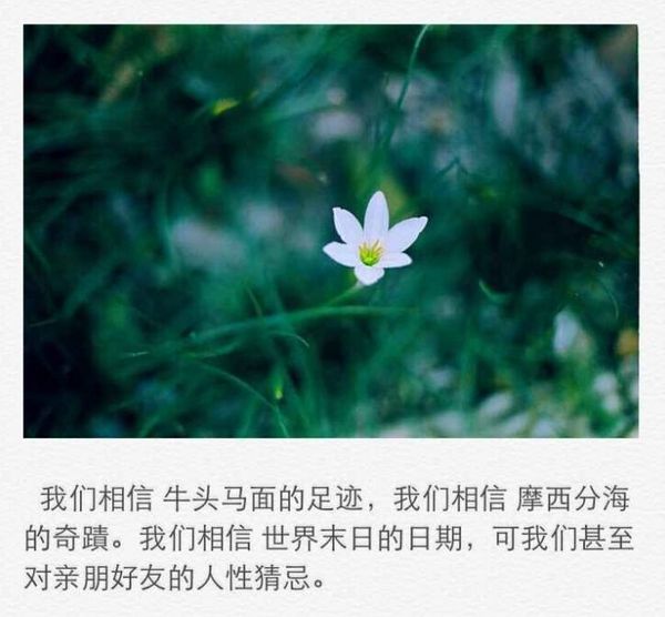 看天空里浮云悠游，羡煞了我的不自由