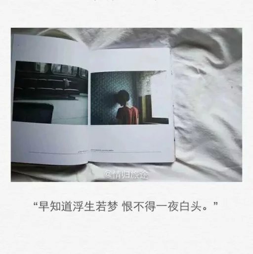 以为你是故乡，你却推脱，让我流浪