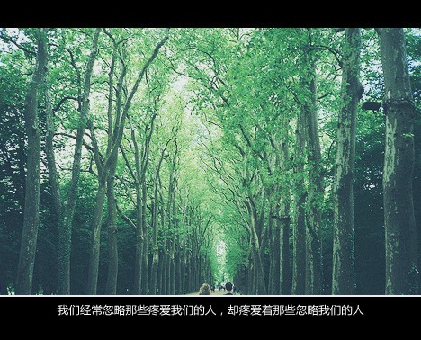 一个角落再陌生，有你，便是个家