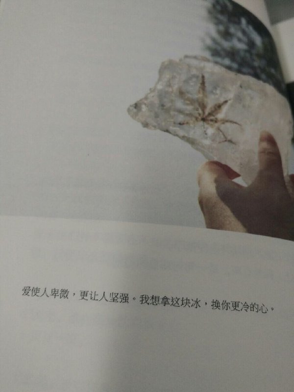 唯美图片，文字图片,情侣图片qqqqp
