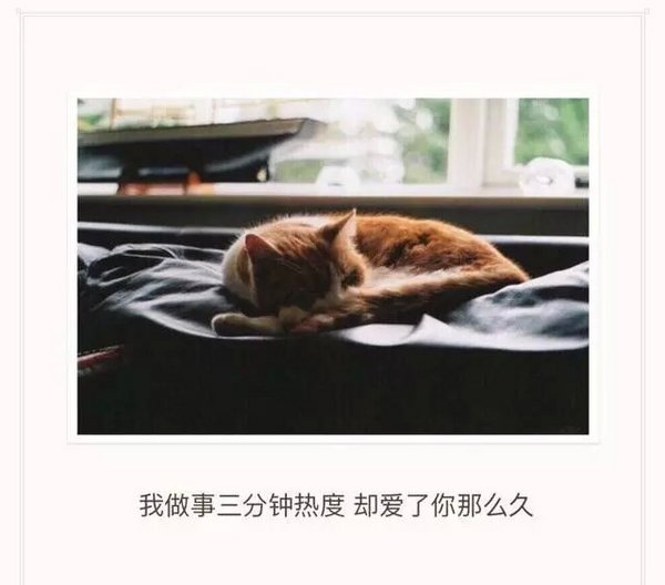 我要有多坚强，才敢装作若无其事