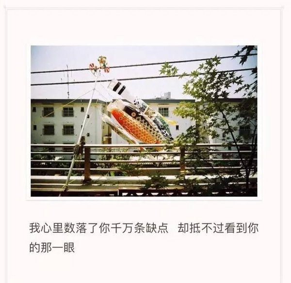 唯美图片，文字图片,情侣图片qqqqp