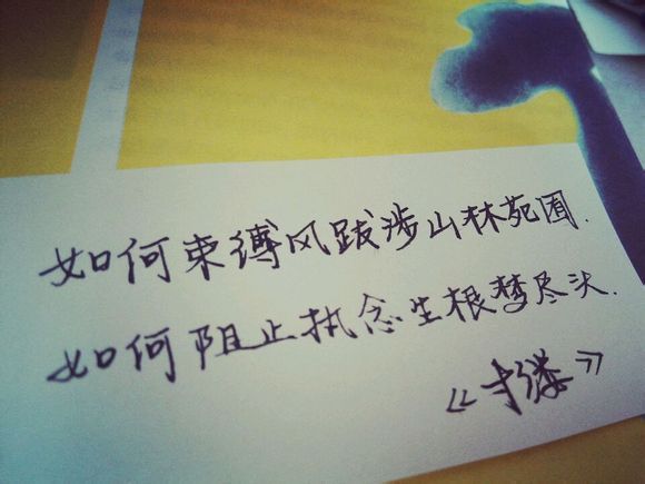 等不到你，却又不想说话 暖心的句子