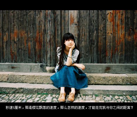 你也不曾劝我离开，我也不曾劝你留下