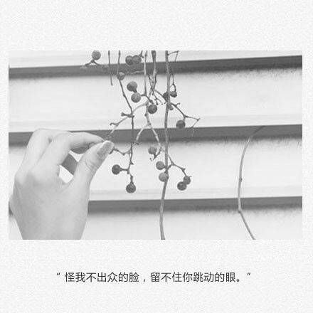 唯美图片，文字图片，动漫图片，情侣图片,qqqqp.com