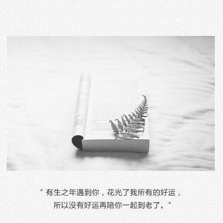 唯美图片，文字图片，动漫图片，情侣图片,qqqqp.com