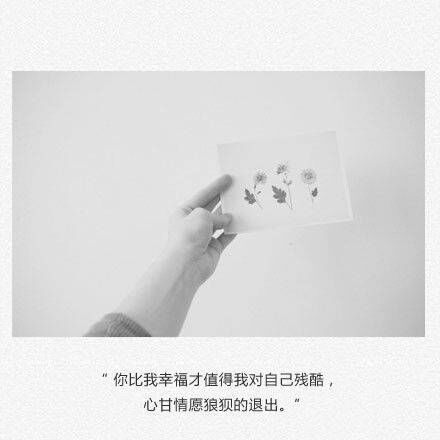 唯美图片，文字图片，动漫图片，情侣图片,qqqqp.com