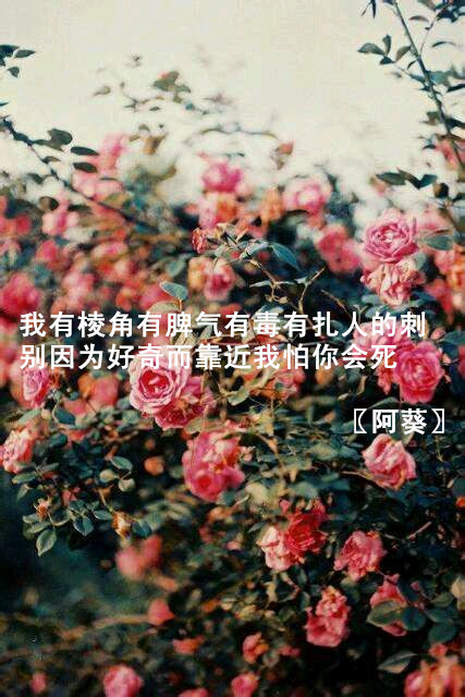 你一笑我就高兴好几天