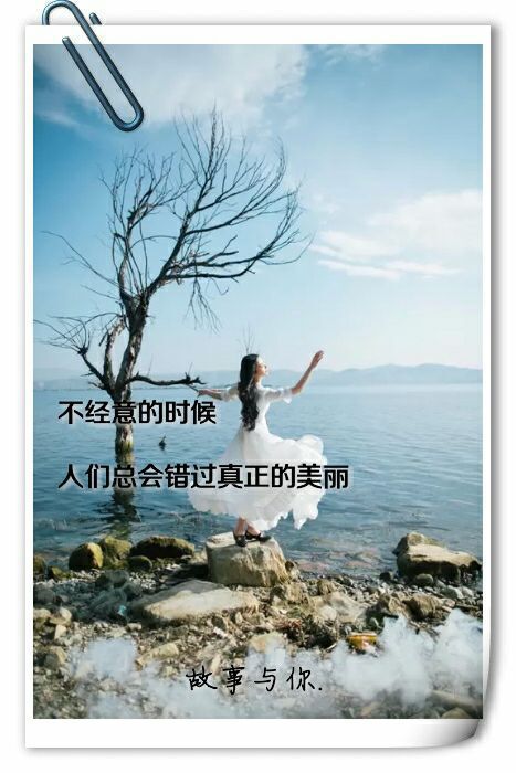 喜欢你 是我做过最认真的事