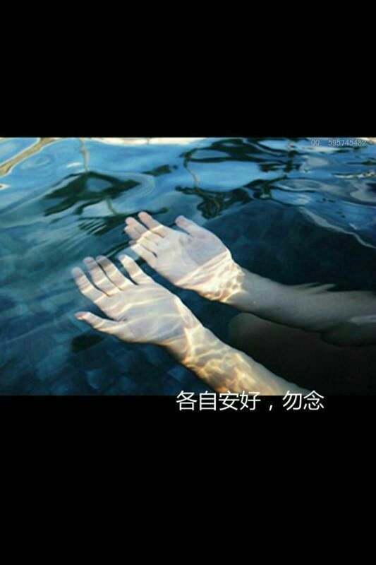 心是自己的，为什么要别人来伤