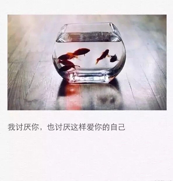 我讨厌你，也讨厌这样爱你的自己