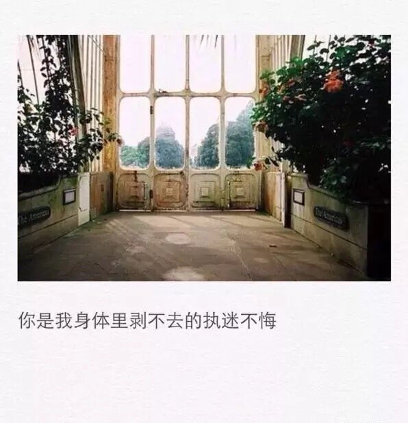 唯美图片，文字图片，动漫图片，情侣图片,qqqqp.com