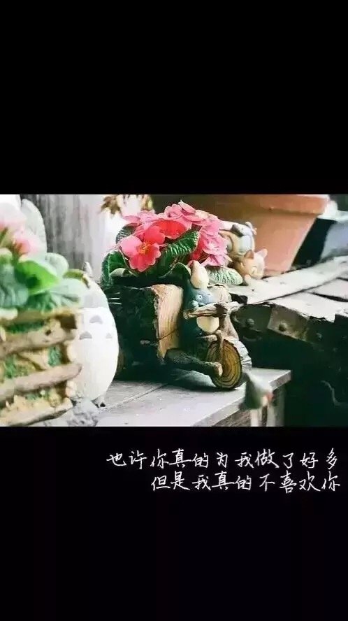唯美图片，文字图片，动漫图片，情侣图片,qqqqp.com