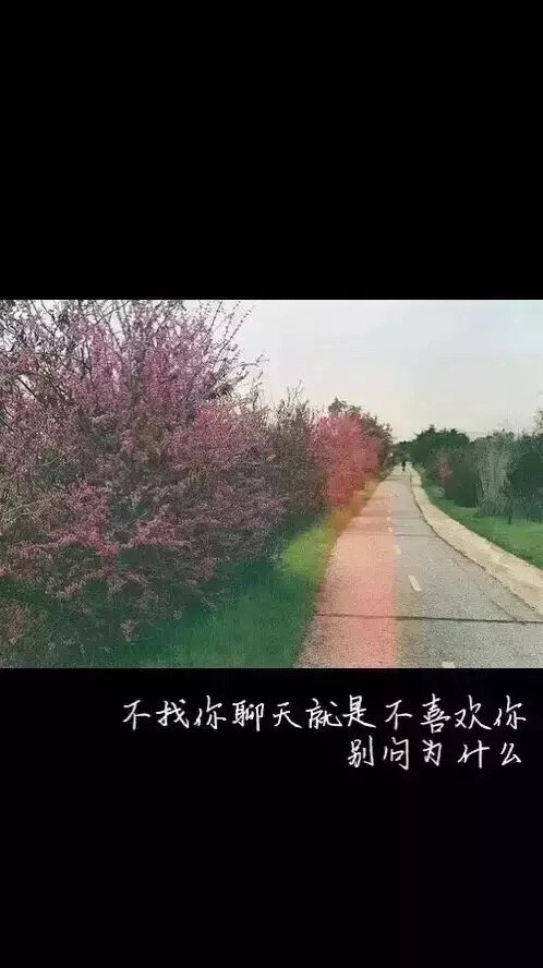 唯美图片，文字图片，动漫图片，情侣图片,qqqqp.com