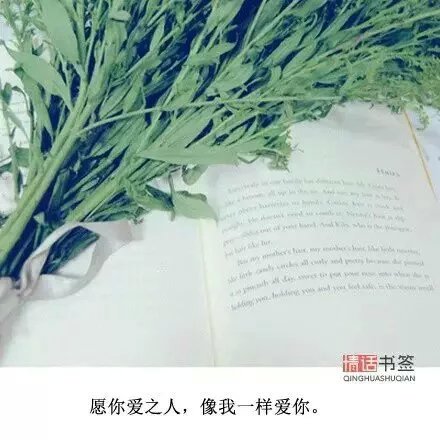 你的名字成了心窝的倒刺，见一次疼一次