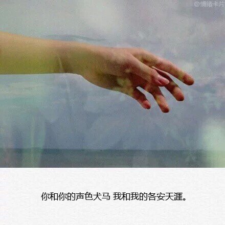 也曾想要过安定，或许我更爱自由。