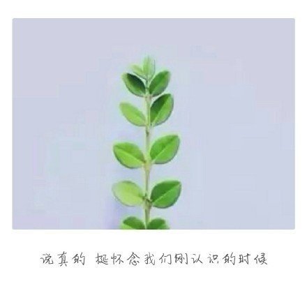 你还在等那个人吗，等着被爱，还是等着死心