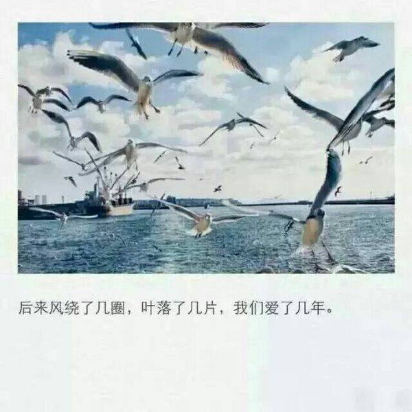 唯美图片，文字图片，动漫图片，情侣图片,qqqqp.com