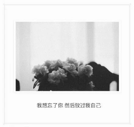 唯美图片，文字图片，动漫图片，情侣图片,qqqqp.com