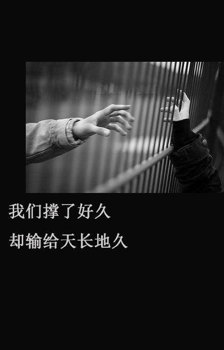 我么撑了好久 却输给天长地久-