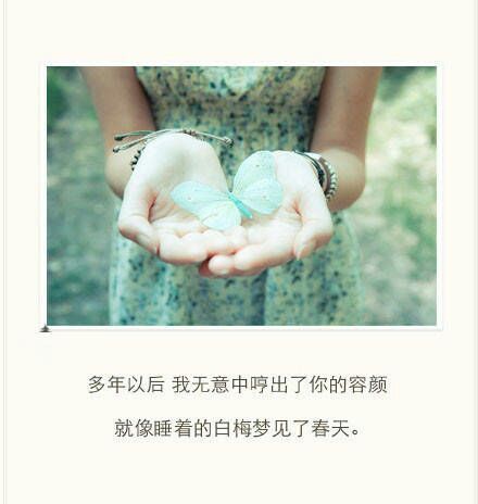 最后一次说晚安，以后好好照顾自己，再见