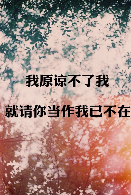 我会哭但我不会输