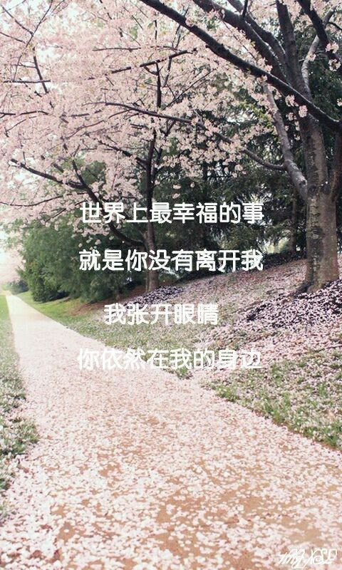 往北的地方海未眠