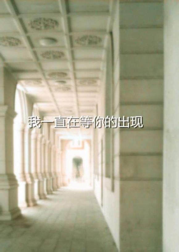 我一直在等你出现 意境文字图片