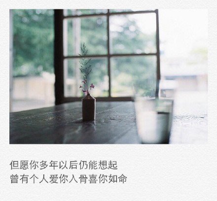 酝酿了太久的矜持，遇见你全用光了