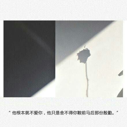 唯美图片，文字图片,情侣图片qqqqp