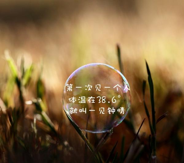 任年华静走，爱你如初
