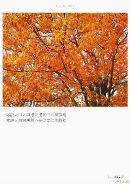 唯美图片，文字图片，动漫图片，情侣图片,qqqqp.com