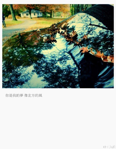 唯美图片，文字图片，动漫图片，情侣图片,qqqqp.com