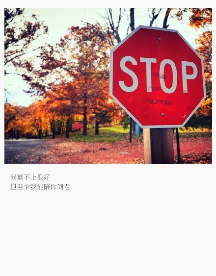 唯美图片，文字图片，动漫图片，情侣图片,qqqqp.com