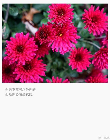 唯美图片，文字图片，动漫图片，情侣图片,qqqqp.com