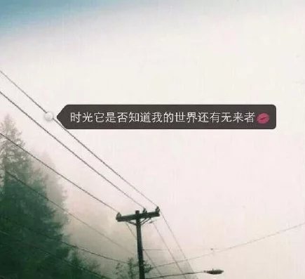 我还在相信，我还在执着，我还在盲目