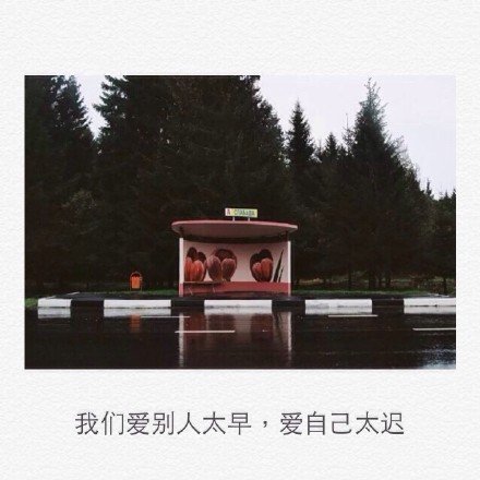 不是不再爱，是怕爱了以后，再次被伤害