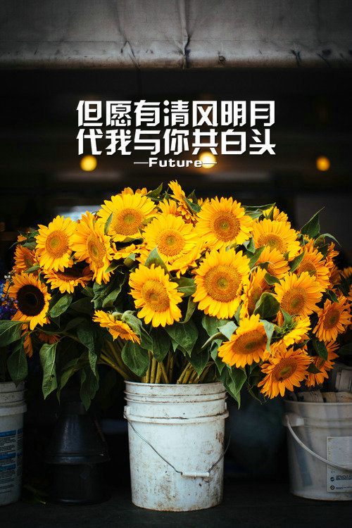 你一生落魄，最爱自己