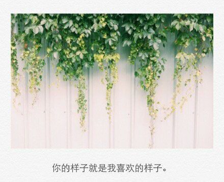 我很好，但有你更好