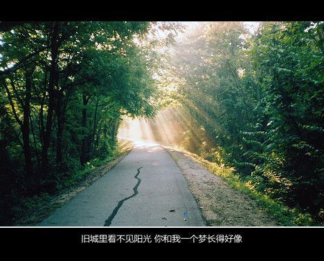 唯美图片，文字图片,情侣图片qqqqp