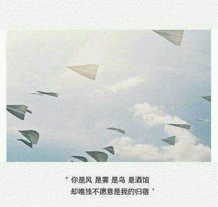 唯美图片，文字图片,情侣图片qqqqp