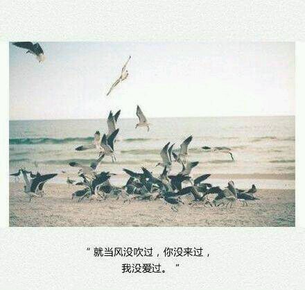 唯美图片，文字图片,情侣图片qqqqp
