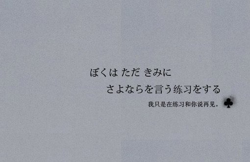 唯美图片，文字图片,情侣图片qqqqp