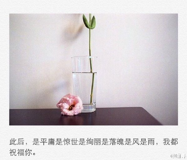 如果你要走，那我放手