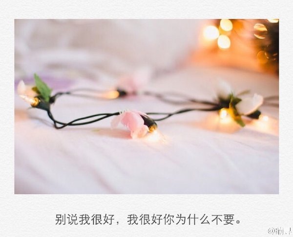 唯美图片，文字图片,情侣图片qqqqp