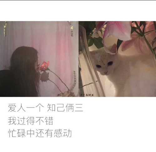 唯美图片，文字图片,情侣图片qqqqp