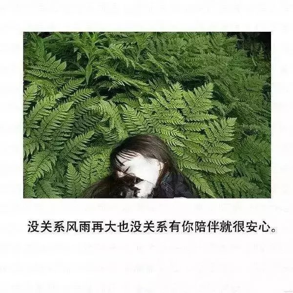唯美图片，文字图片,情侣图片qqqqp