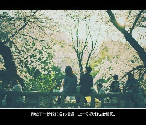 唯美图片，文字图片,情侣图片qqqqp