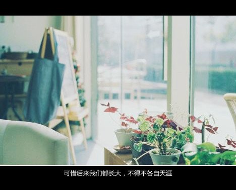 唯美图片，文字图片,情侣图片qqqqp