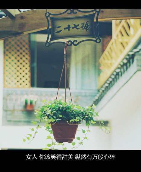 唯美图片，文字图片,情侣图片qqqqp